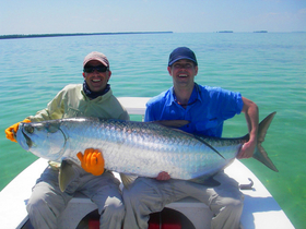 Tailing Charters, Florida Keys Fly Fishing Guides, Florida Keys Flats  Fishing, Tarpon Fishing, Fly Fishing For Tarpon