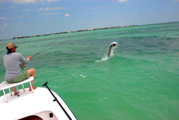 Tailing Charters, Florida Keys Fly Fishing Guides, Florida Keys Flats  Fishing, Tarpon Fishing, Fly Fishing For Tarpon